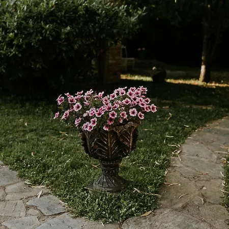 La Residenza 4* Timisoara
